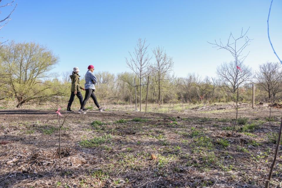 Officials said the vandals dug up recently planted trees and cut down portions of other, more mature trees. Dennis A. Clark