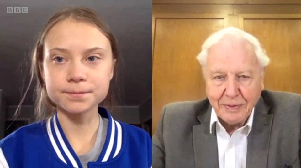 Thunberg on a video call with Attenborough (BBC)