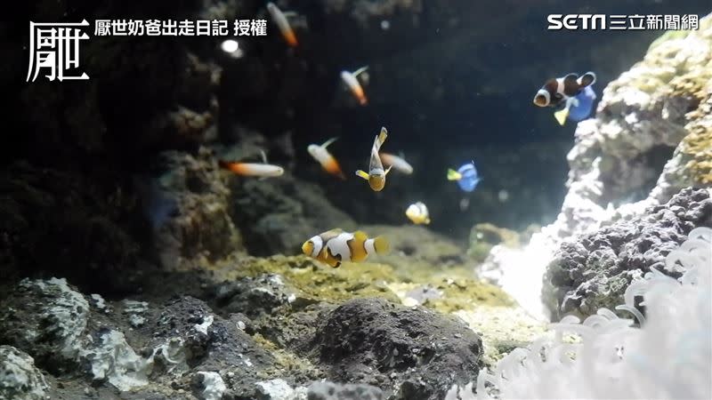 園區內高達420種生物，吸引大家前來參觀。（圖／厭世奶爸出走日記 授權）