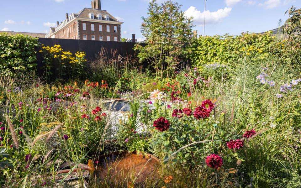 The NHS Tribute Garden by Naomi Ferrett-Cohen is one highlight of this year's Chelsea Flower Show - Heathcliff O'Malley