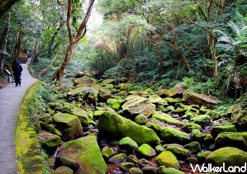 It is also connected to the surrounding “Five Finger Mountain Hiking Trail”, which can take you to Fengbishan Yuanjue Temple, Bishanyan, Baishihu and Carp Mountain, in just a few minutes. (Photo courtesy of Taipei Walker)