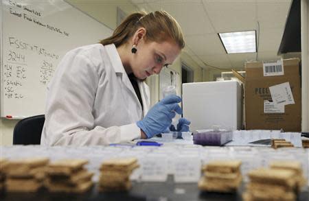 University of New England biomedical research lab manager Brittany Roy works in Ian Meng's laboratory in Biddeford, Maine September 26, 2013. REUTERS/Joel Page