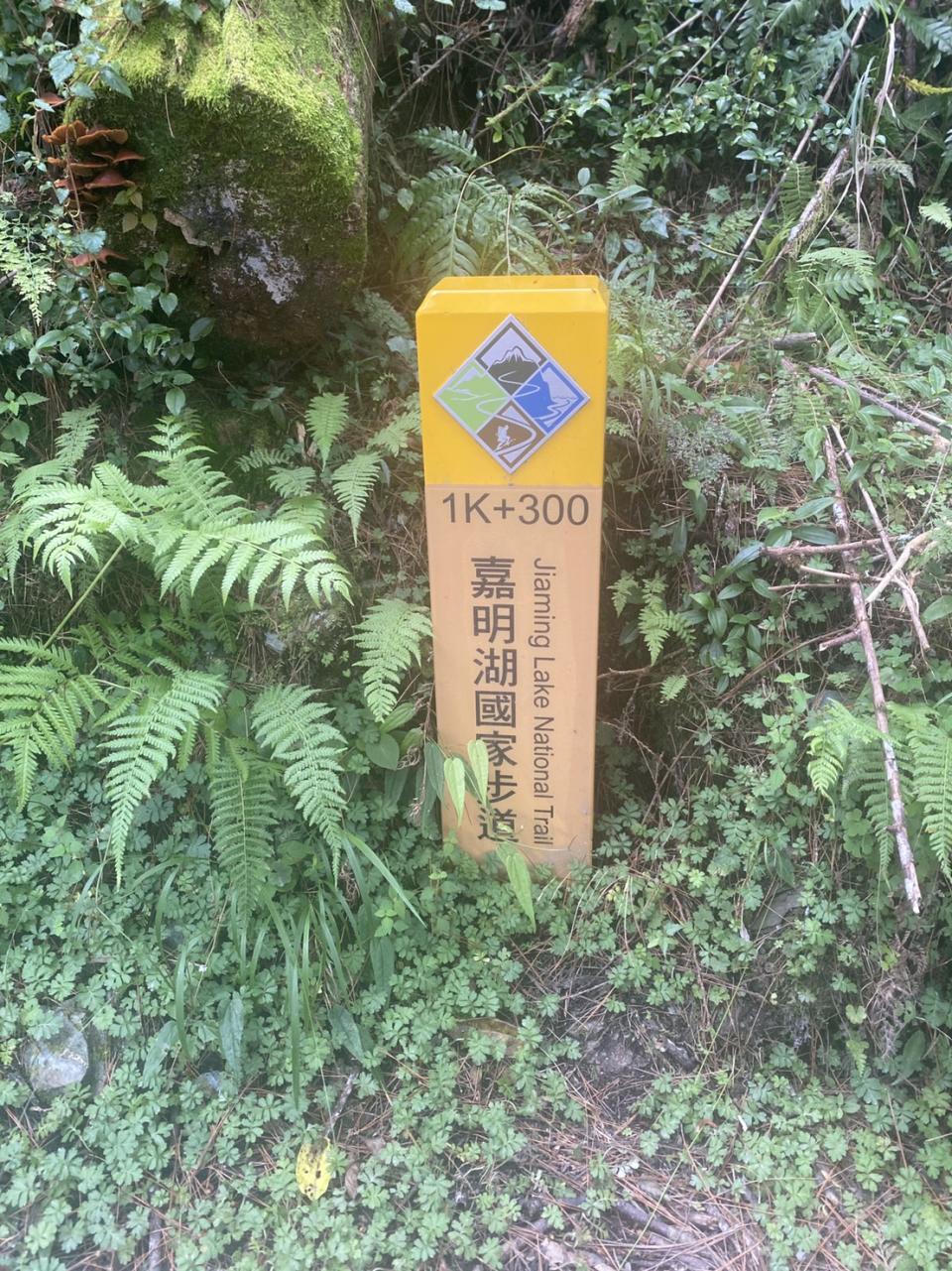 ▲台灣百岳之一的嘉明湖，要攻上頂可得花不少功夫。