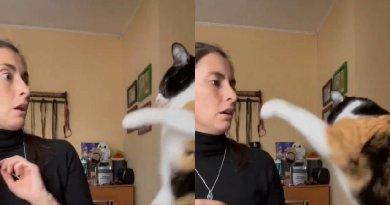 Foto: Captura de video TikTok vía @_natalia_64_0