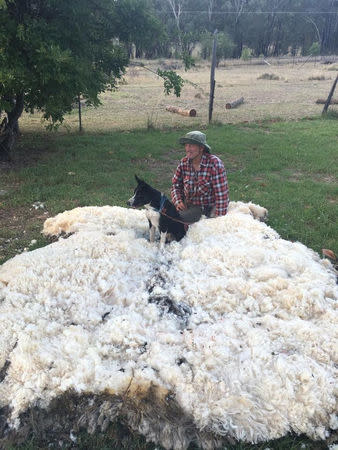 A man and dog sit next to a pile of wool after it was sheared off a sheep in Warrumbungle, New South Wales, Australia, July 20, 2018, in this picture obtained from social media. Graeme Bowden/via REUTERS