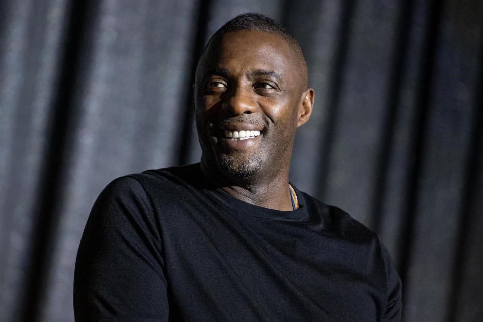 New job: Idris and Sabrina have both been appointed United Nations Goodwill Ambassadors (Getty Images)