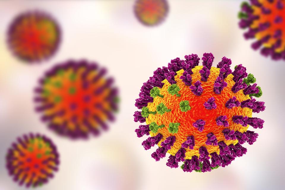 Get to know the different flu types