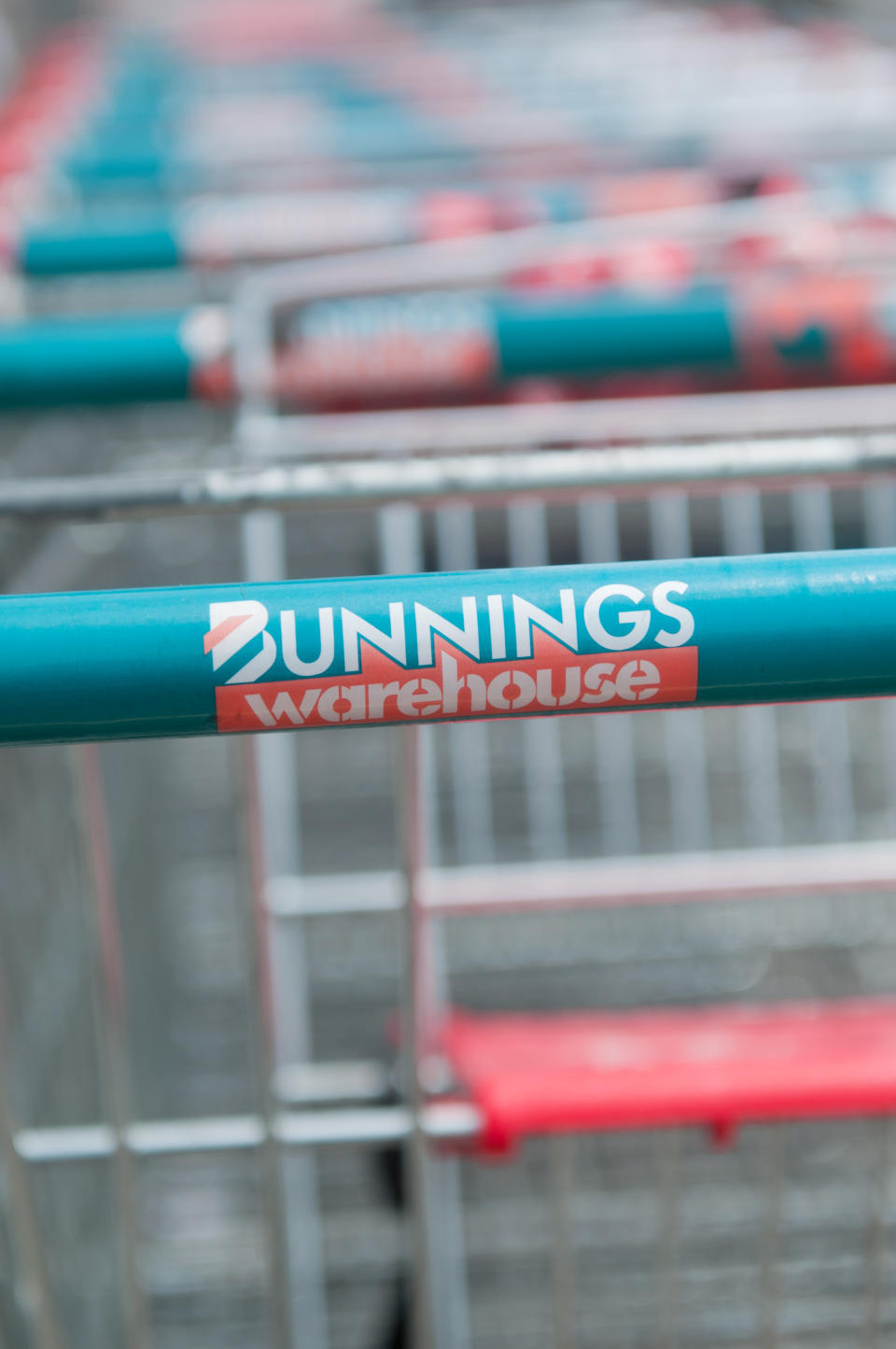 Close up of the Bunnings Warehouse logo on a trolley hand located in a trolley bay. Bunnings is a very popular hardware/diy store supplying both trade and diy enthusiasts, currently having the biggest market share of this industry within australia.