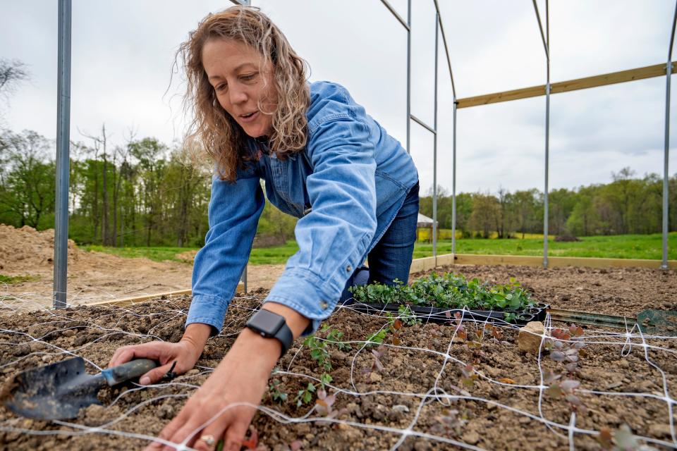 Rhonda Schafer plants eucalyptus at her farm, Sunset Ridge Berries & Blooms, in Spencer. 'When I work out in that field, I am just in heaven,' she says.