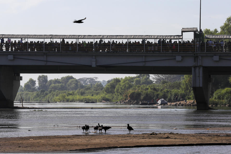 Cientos de migrantes centroamericanos atestan un puente que cruza el río Suchiate en su intento por pasar de Guatemala a Ciudad Hidalgo, México, el sábado 18 de enero de 2020. (AP Foto/Marco Ugarte)