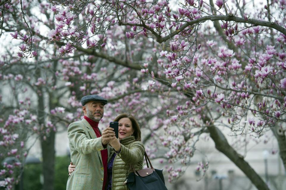 Fidelio Desbradel and his wife Leonor Desbradel, of the Dominican Republic, take a selfie in front of a Tulip Magnolia tree in Washington, Tuesday, Feb. 28, 2017. Crocuses, cherry trees, magnolia trees are blooming several weeks early because of an unusually warm February. Some climate experts say it looks like, because of an assist from global warming, spring has sprung what may be record early this year in about half the nation. (AP Photo/Cliff Owen)