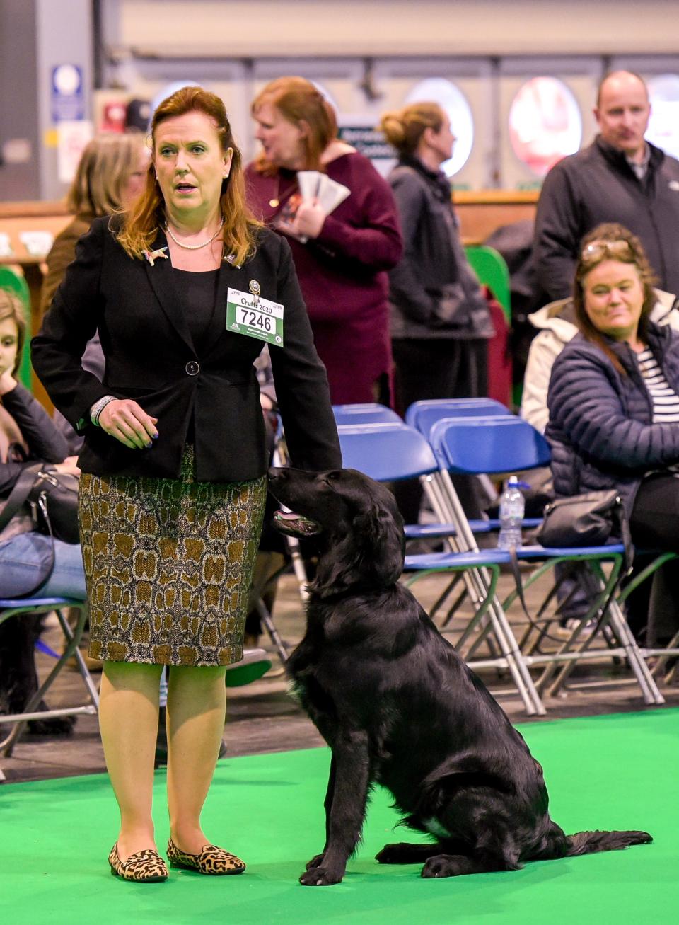 Dragons Den star, Jenny Campbell competing with her dog at Crufts (Shutterstock)