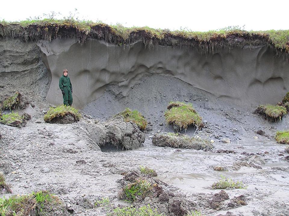 An ice wedge dated to the late Pleistocene era in Noatak National Preserve in Alaska. <a href="https://www.nps.gov/articles/aps-16-1-9.htm" rel="nofollow noopener" target="_blank" data-ylk="slk:David Swanson/National Park Service;elm:context_link;itc:0;sec:content-canvas" class="link ">David Swanson/National Park Service</a>