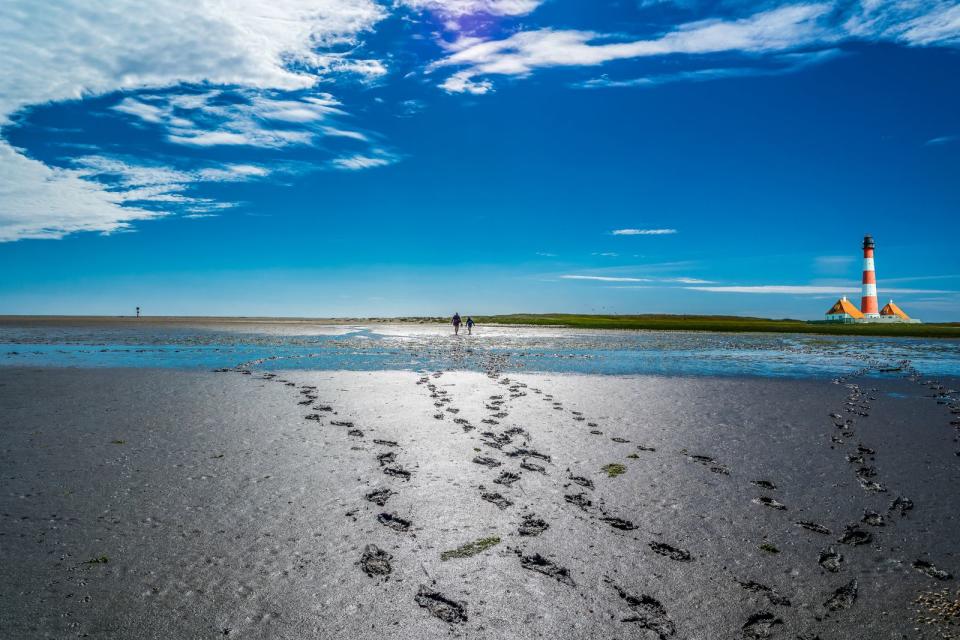 Nationalpark Wattenmeer