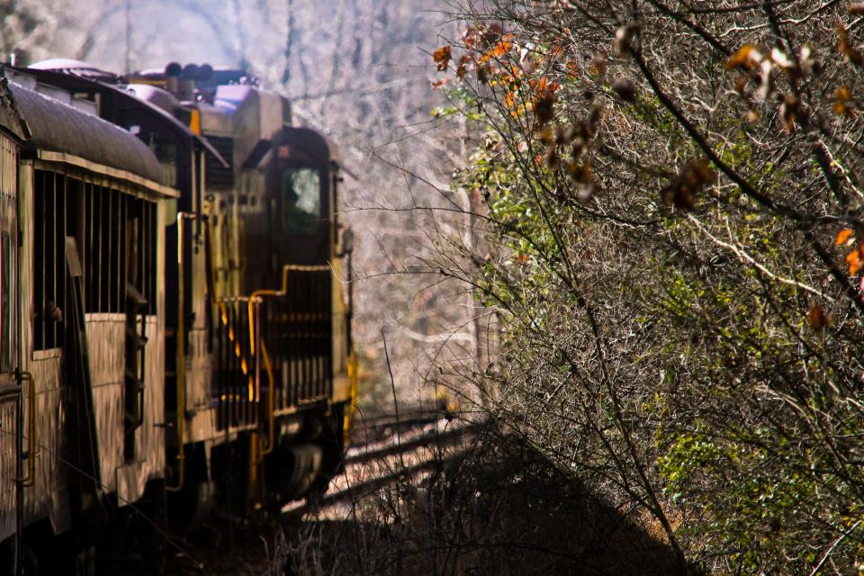 Explore western North Carolina on the Great Smoky Mountains Railroad.