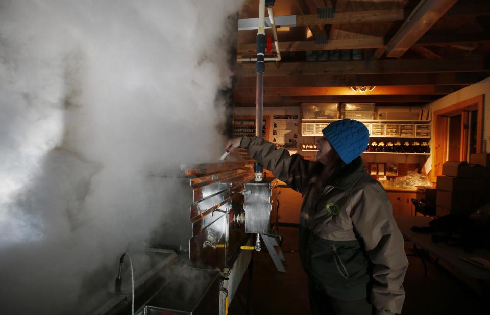 In this March 13, 2014 photo, Kathy Gallagher makes sure sap doesn't boil over in the evaporator at the Turtle Lane Maple sugar house in North Andover, Mass. It takes about 40 gallons of sap to yield one gallon of syrup. Maple syrup season is finally under way in Massachusetts after getting off to a slow start because of unusually cold weather. (AP Photo/Elise Amendola)