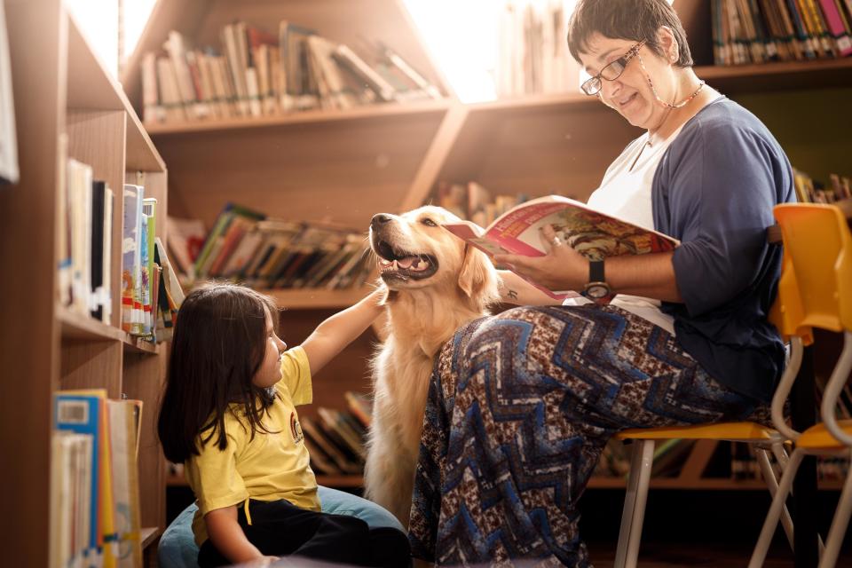 <strong>Second Place</strong><br />"The Magic of Reading"<br />Messi, golden retriever, Brazil