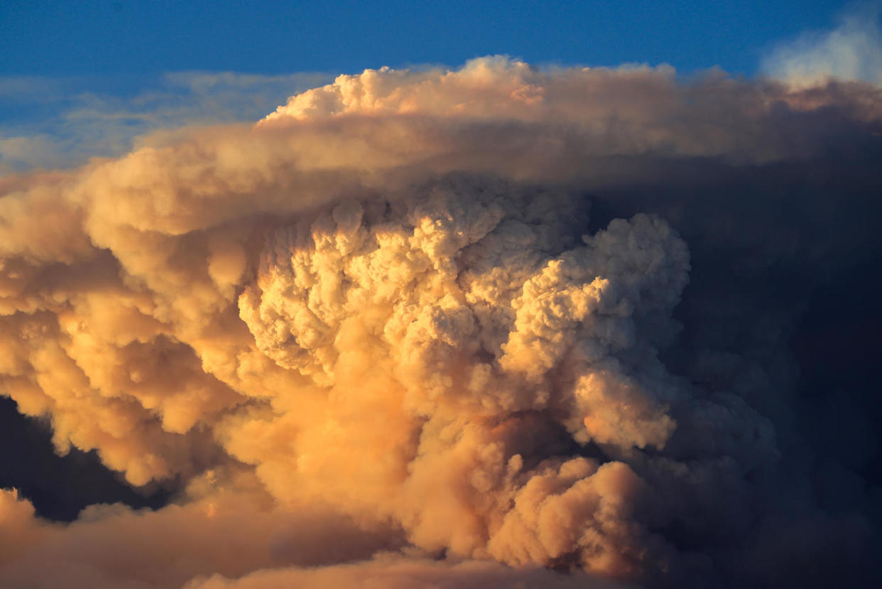 A massive pyrocumulus cloud rises from the Park Fire. (David McNew / Getty Images)