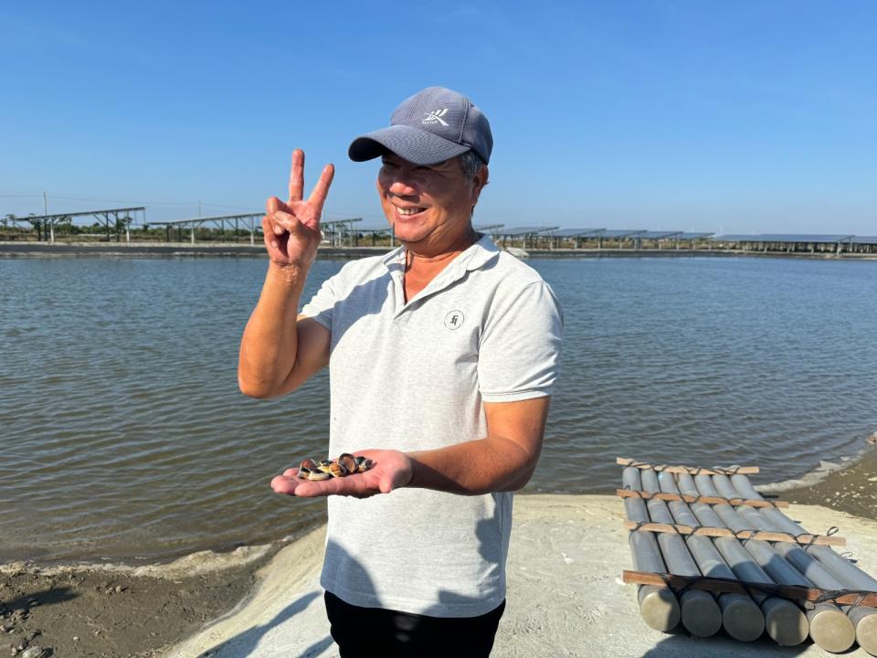 志光漁電共生文蛤養殖戶。吳馥馨攝