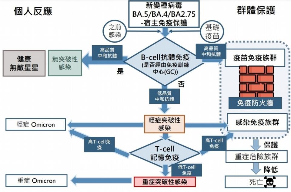 重度突破性感染高危險群