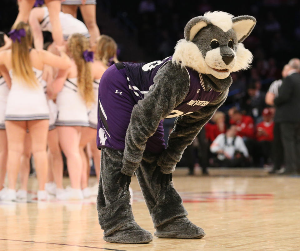 Mar 1, 2018; New York, NY, USA; The Northwestern Wildcats mascot dances during a time out against the Penn State Nittany Lions in the second half of a second-round game of the 2018 Big Ten Tournament at Madison Square Garden. Credit: Nicole Sweet-USA TODAY Sports