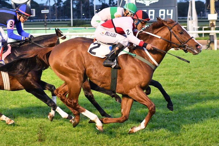 Expressive Smart llegó a las 14 victorias en su campaña al vencer en el Clásico Lamadrid (L-1000m), en San Isidro; ya tenía 9 años el alazán