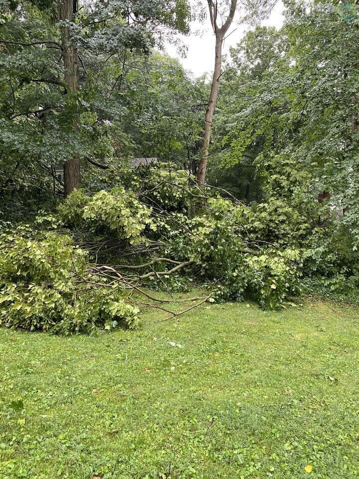 Storm Damage in the Miami Valley