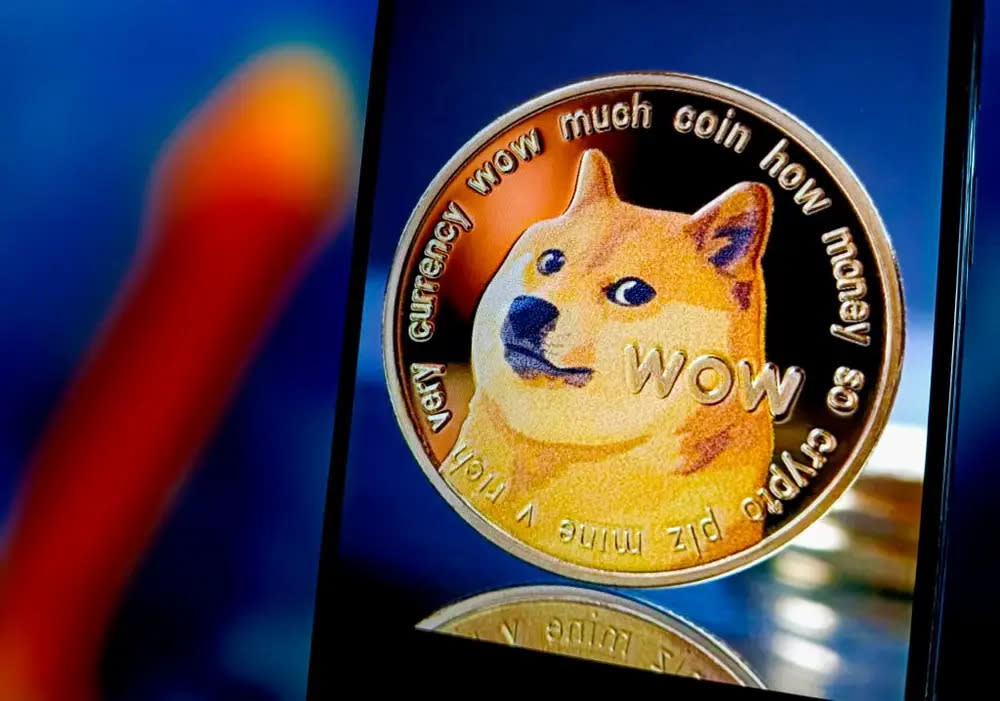 Kabosu wurde das Gesicht der Kryptowährung Dogecoin. - Copyright: Costfoto/Getty Images