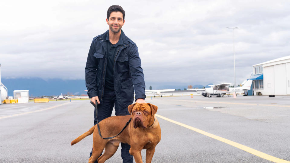 Josh Peck plays the son of Tom Hanks's character from the classic film in 'Turner and Hooch'. (Farah Nosh/Disney)