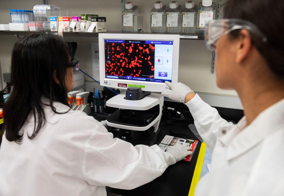 Dr. Sonia Macieiewski (R) and Dr. Nita Patel, Director of Antibody discovery and Vaccine development, look at a sample of a respiratory virus at Novavax labs in Gaithersburg, Maryland on March 20, 2020, one of the labs developing a vaccine for the coronavirus, COVID-19. (Photo by ANDREW CABALLERO-REYNOLDS / AFP) / The erroneous mention[s] appearing in the metadata of this photo by ANDREW CABALLERO-REYNOLDS has been modified in AFP systems in the following manner: [Gaithersburg] instead of [Rockville]. Please immediately remove the erroneous mention[s] from all your online services and delete it (them) from your servers. If you have been authorized by AFP to distribute it (them) to third parties, please ensure that the same actions are carried out by them. Failure to promptly comply with these instructions will entail liability on your part for any continued or post notification usage. Therefore we thank you very much for all your attention and prompt action. We are sorry for the inconvenience this notification may cause and remain at your disposal for any further information you may require. (Photo by ANDREW CABALLERO-REYNOLDS/AFP via Getty Images)