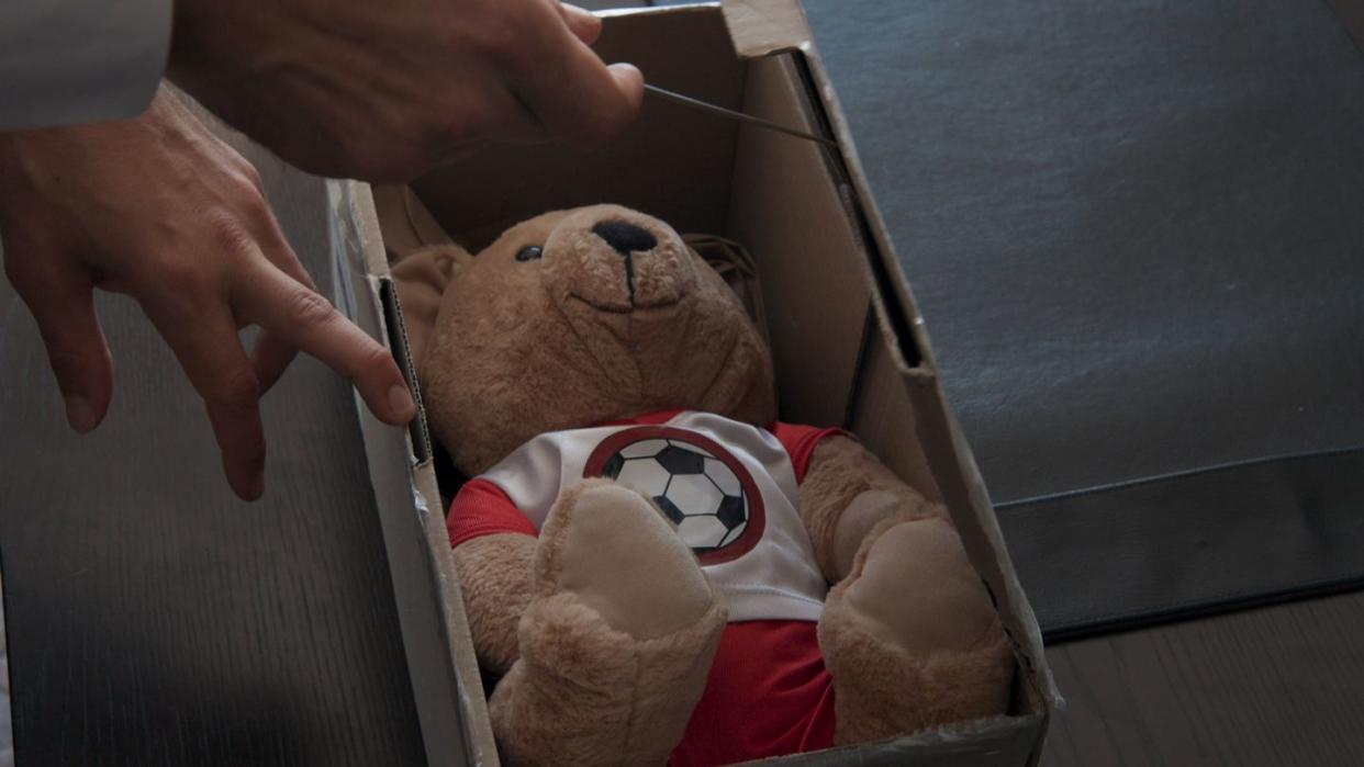 embargo 29042024 a teddy bear in home and away