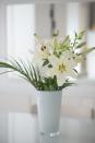 <p>The lily is one of the more poisonous types of flower, so be sure to keep them away from your dog over Christmas. They might look pretty, but if any part of a lily is ingested (even in small quantities) this could cause severe gastrointestinal damage, which may lead to kidney failure. </p>