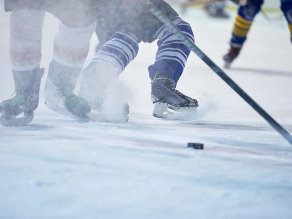 Two Black ex-hockey players on P.E.I. say that dealing with racism in the sport is a hard but necessary task.  (dotshock/Shutterstock - image credit)