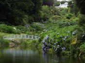 Üppige Vegetation: Der Trebah Garden bei Falmouth wirkt fast schon tropisch.Foto: Visit Cornwall