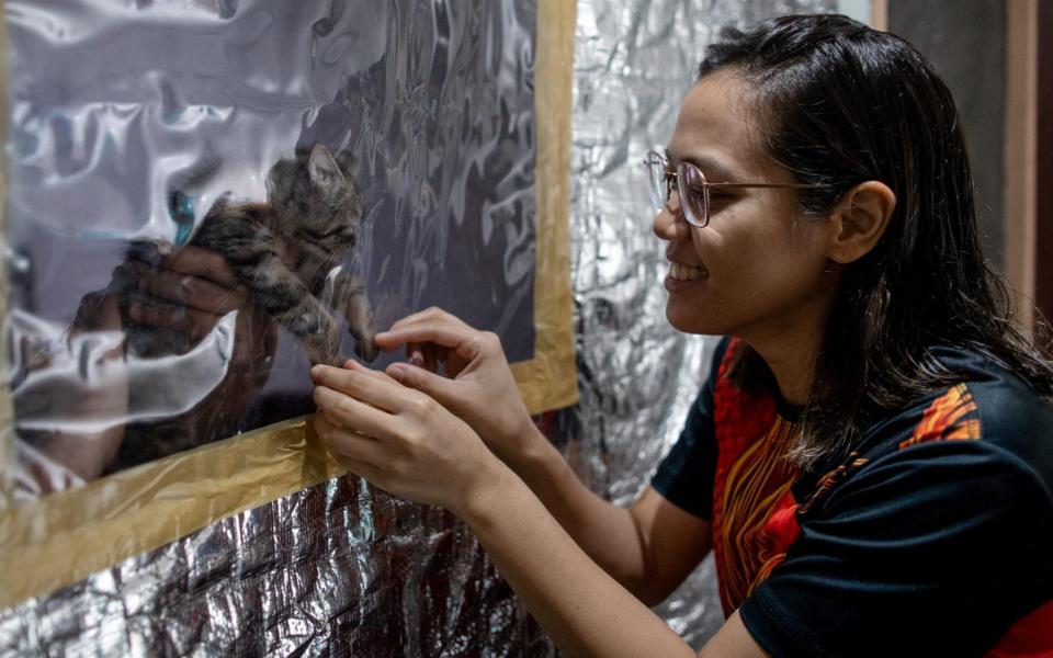 Jan Claire Dorado bonds with her cat through window in isolation room - REUTERS