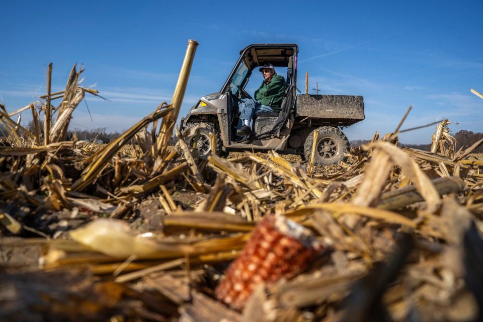 Lonnie Kester sits amongst a portion of his farmland in Millington on Thursday, Nov. 16, 2023, where corn was recently harvested to be used for ethanol. Kester owns thousands of acres of farmland in the Thumb area, and signed a lease to put solar panels on a portion. But that project was delayed years because due to the township board.