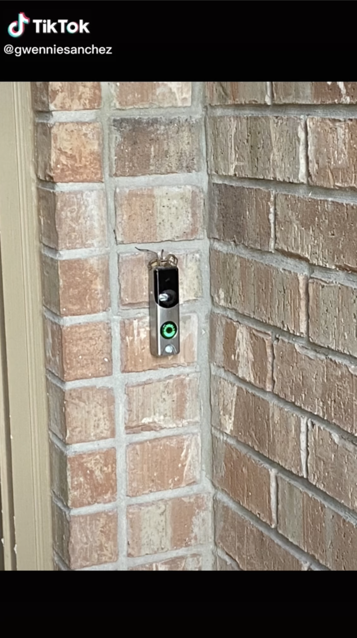 A screenshot of a TikTok video showing a large spider sitting on top of a doorbell.