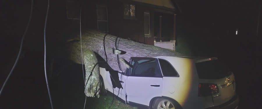 A tree fell on a car on Walnut Street in Harrisburg after a storm left damage and power outages across the Midstate on Sunday, April 14, 2024.