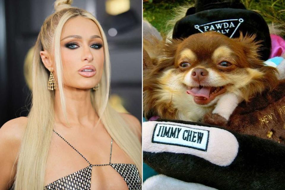 getty; paris hilton/instagram