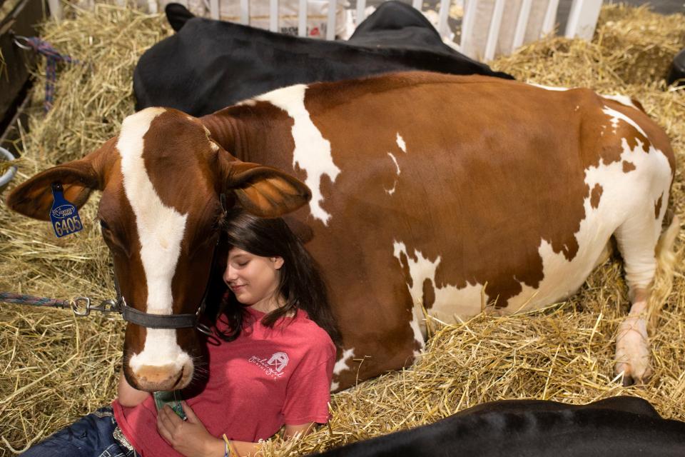 Anna Wood, 16, of Shelbyville spends some time with her family's dairy cows on the opening day of the Kentucky State Fair. "I've been showing them the last seven years. My dad grew up showing," Wood said. "I love working the family farm and just the bond we have with the animals. They're sweet and lovable." Aug. 15, 2019