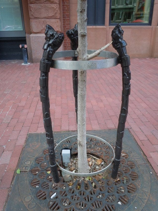 A tree guard made of walking sticks designed by a local artist, as it looked before city workers removed them and tossed them in a scrapyard.