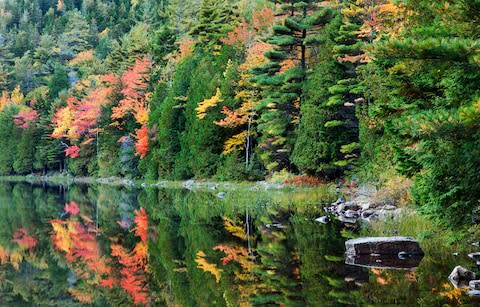 Trees reflected in Bubble Pond, Arcadia National Park - Credit: Getty