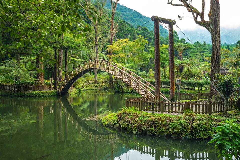 溪頭大學池美景（圖片來源：Getty Creative）