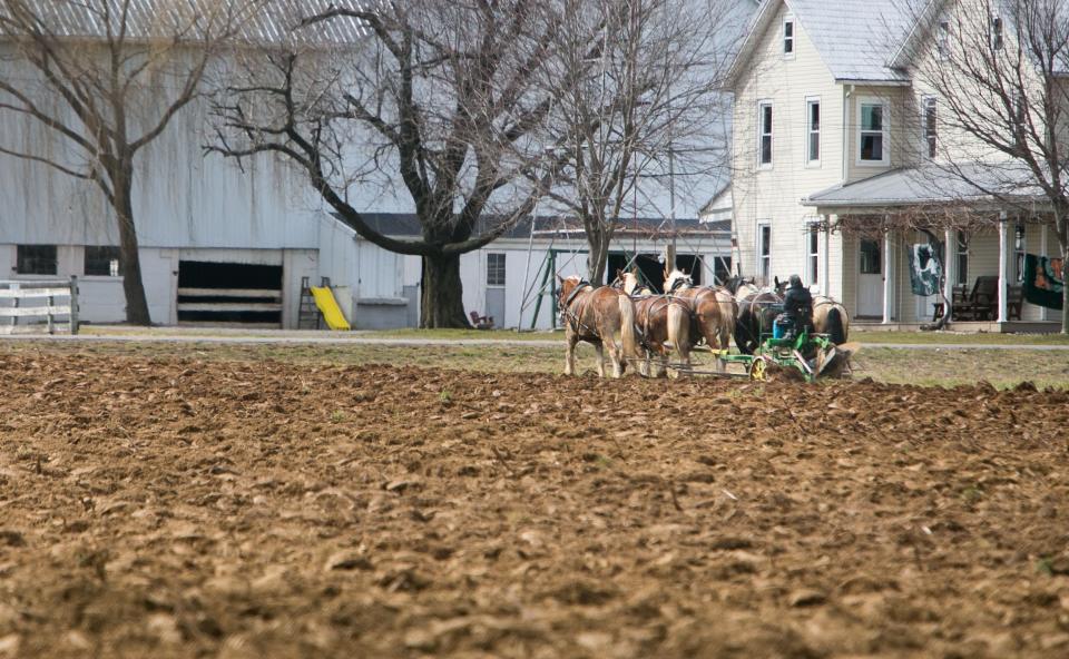 An Amish farmer in Narvon, Pennsylvania, plows his field with a team of horses.