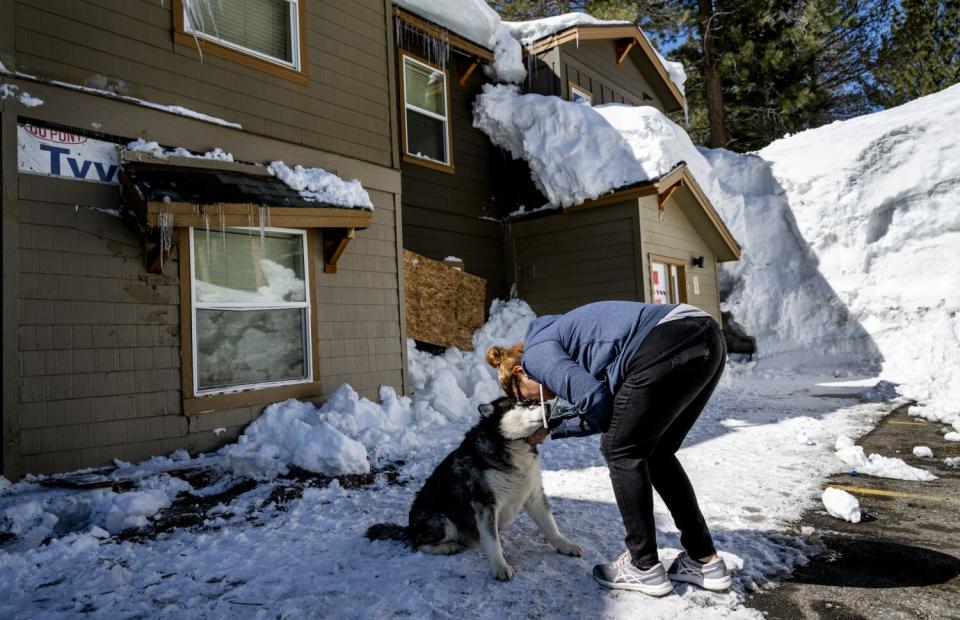 A woman comforts her dog in Mammoth Lakes.