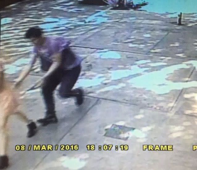 CCTV footage shows a man creeping behind Andrea Noel with his hands up her skirt. Picture: Twitter/metabolizedjunk