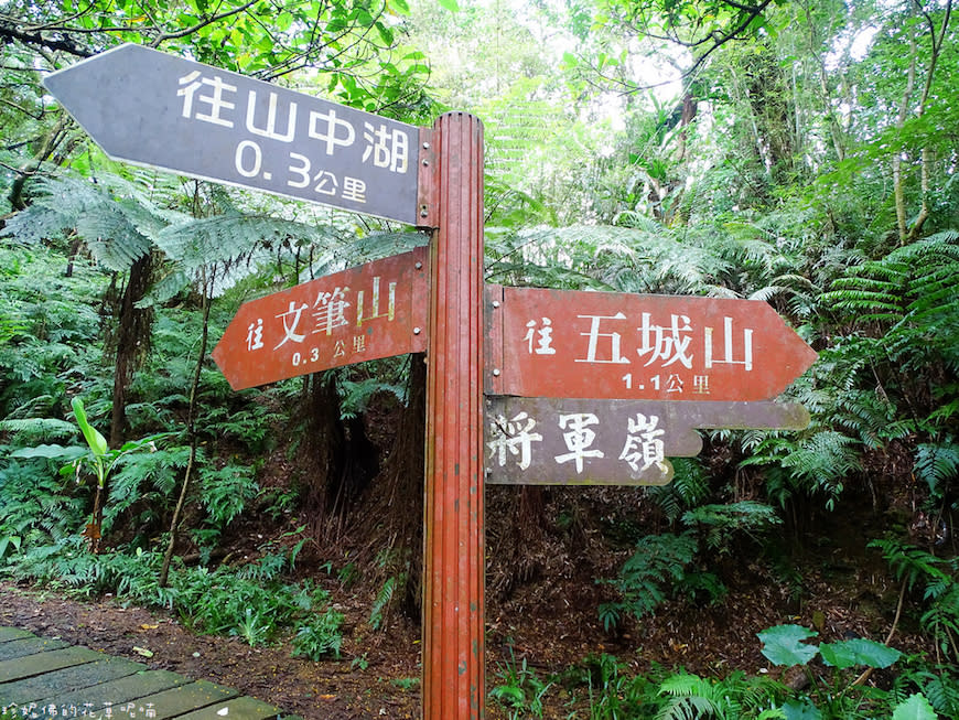 新北土城｜文筆山步道