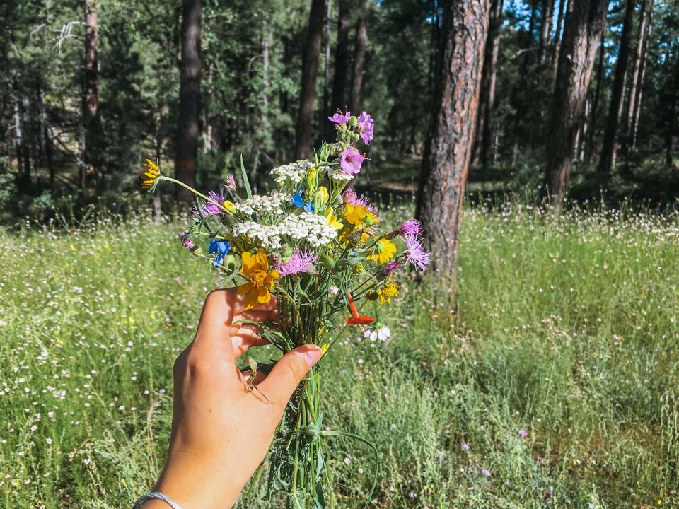 Emily Henkel holds a bouquet of wildflowers Alexander Lofgren gathered for her on their first camping trip in Prescott, Arizona. He gathered wildflowers for her wherever they went.