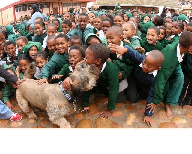 Oscar the Globetrotting Dog Comes to Times Square