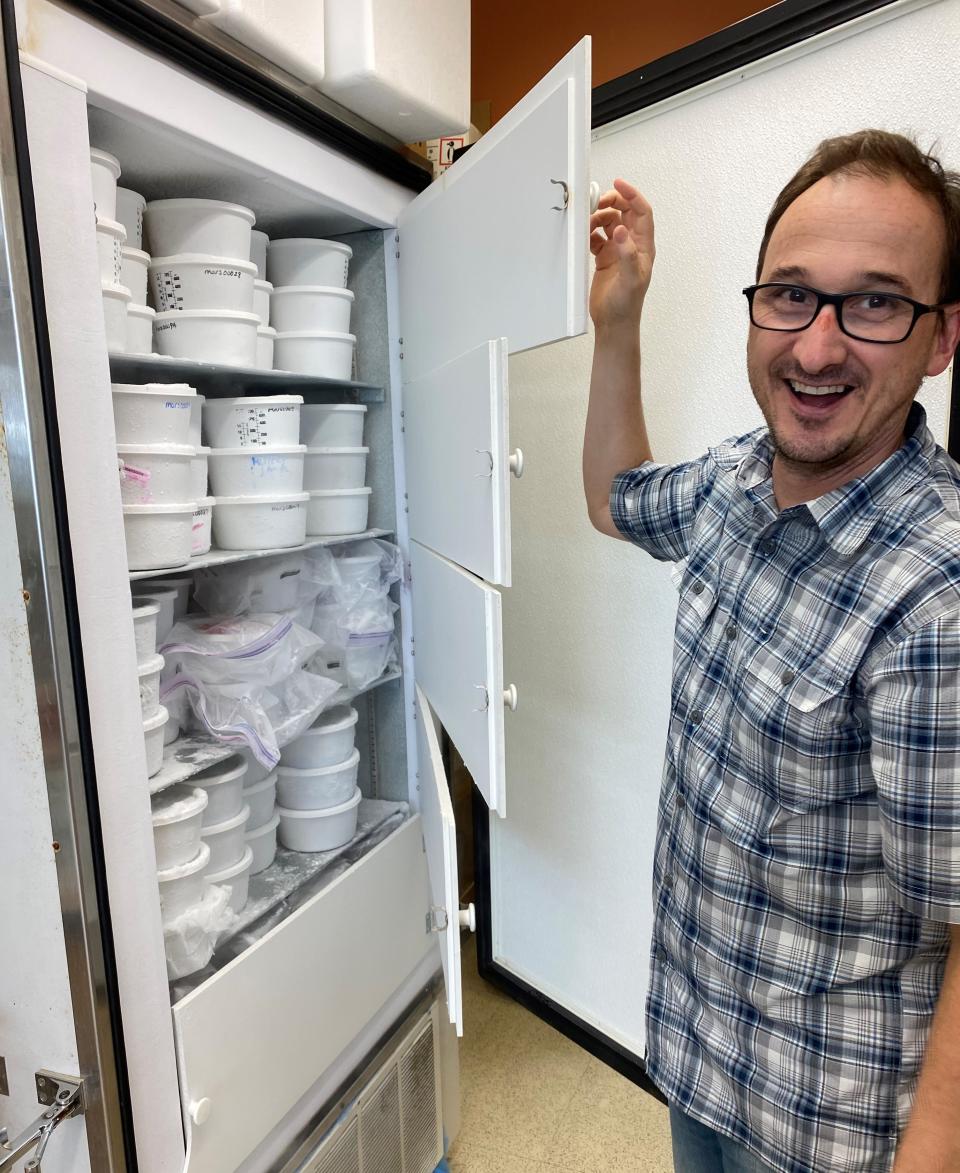 Federico Rey shows a freezer in his lab filled with tubs of human fecal samples.